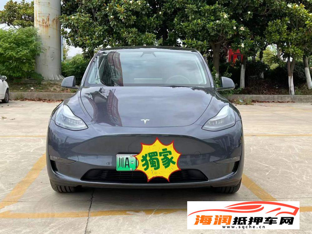 准22年21款特斯拉Model YTESLA Model Y