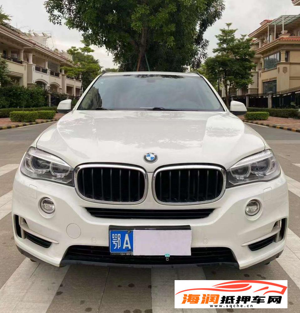 宝马X5(进口) 2015款 宝马X5(进口) xDrive35i中国限量版