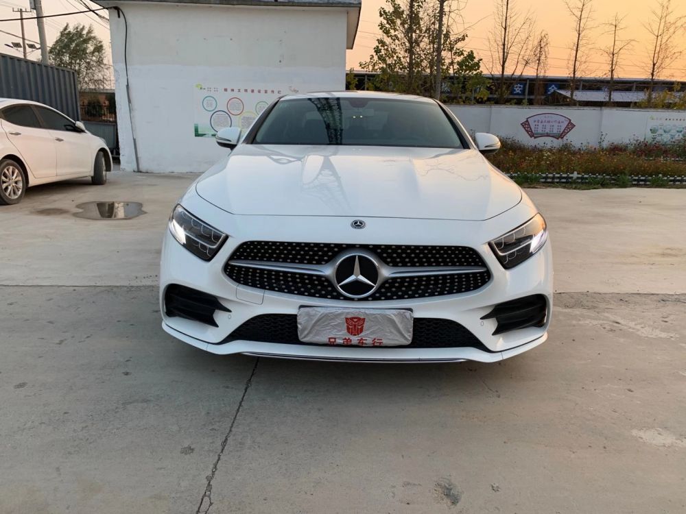 奔驰CLS级(进口) 2020款 奔驰CLS级(进口) CLS 300 动感型